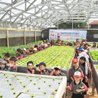 Kegiatan Outdoor Study Kelas II Ke KebunKita Pekanbaru